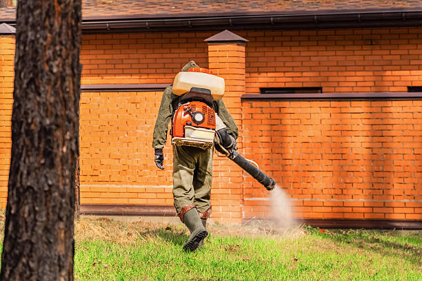 Trusted Bed Bug Control service in Port Clinton, OH - Nex Pest Control